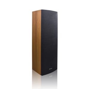 DSP203II Indoor Column Speaker